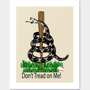 Don't Tread on Me Snake Baseball Flag Posters and Art
